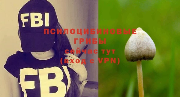 молекула духа Баксан